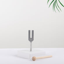 Load image into Gallery viewer, Metal Tuning Fork 4096Hz Silver Color with bag and mallet