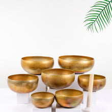 Load image into Gallery viewer, Tibetan Singing Bowl 7note Set with Soft Case Carry Bag and Special Mallets