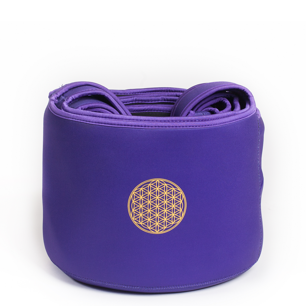 Purple Soft Bag