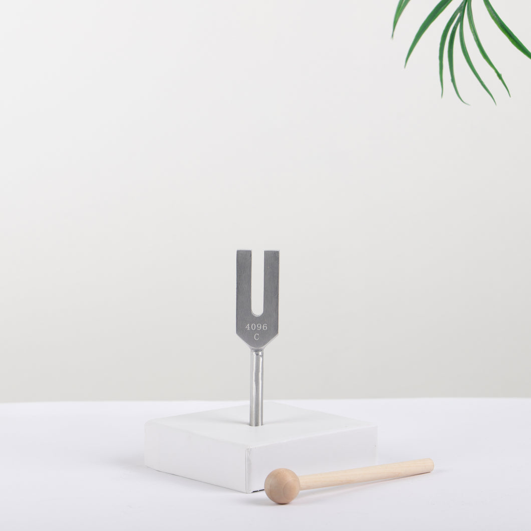 Metal Tuning Fork 4096Hz Silver Color with bag and mallet